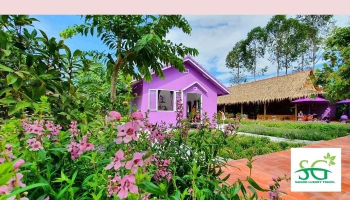 Căn nhà màu tím nổi bật và độc đáo