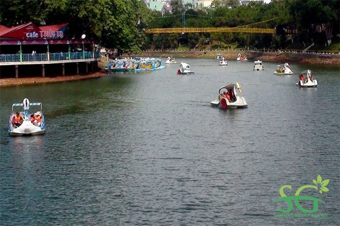 Thiên nga đạp nước tại khu du lịch Tà Cú Bình Thuận