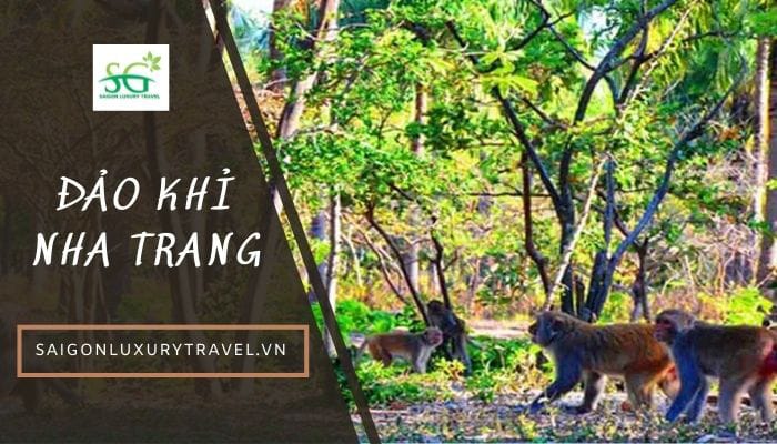 Du lịch Đảo Khỉ Nha Trang và những trải nghiệm thú vị