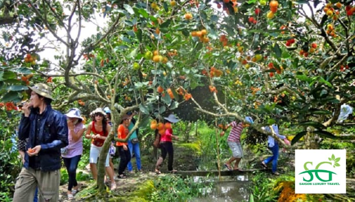 Những vườn trái cây trĩu cành tại KDL Bảo Thạch